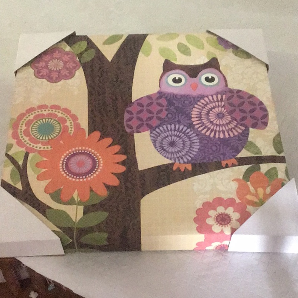 Owl canvas